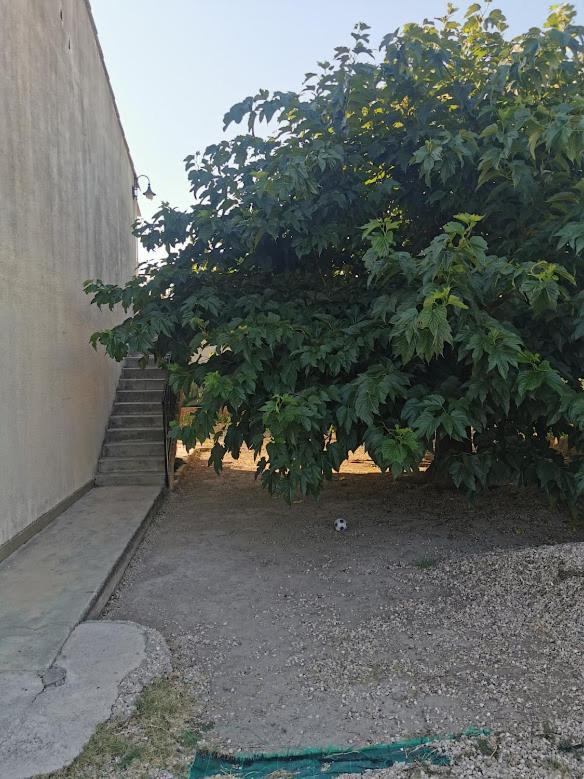 Villa Dans Le Sud Люнель Экстерьер фото